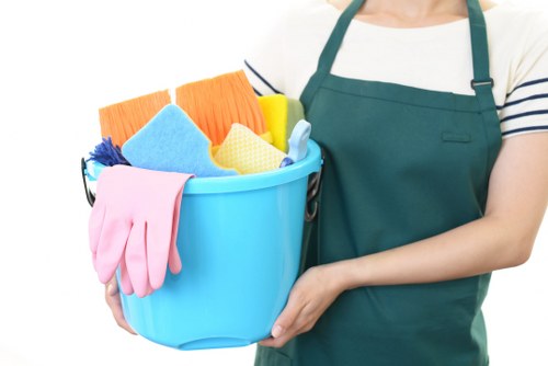 Carpet cleaning in an E1 home interior