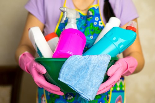 Professional upholstery cleaning for a sofa in an E1 home
