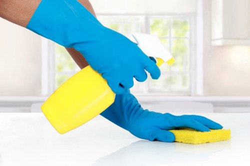 Deep carpet care for a busy E1 property