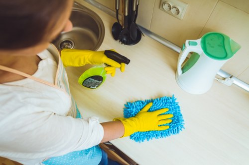 Professional deep cleaning service for homes and flats in E1