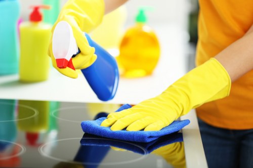 Assessing evidence in a carpet cleaning dispute