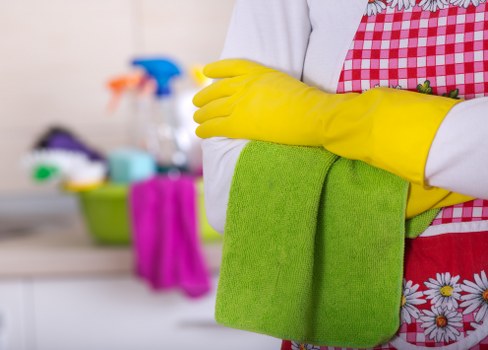 Deep carpet cleaning details and stain treatment
