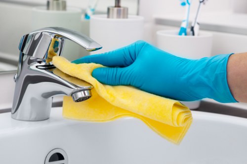 Screen-reader friendly Carpetcleaning E1 accessibility content